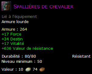 Spallières de chevalier