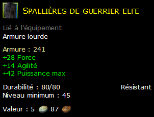 Spallières de guerrier elfe