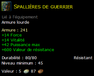 Spallières de guerrier