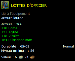 Bottes d'officier