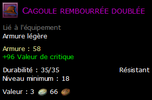 Cagoule rembourrée doublée