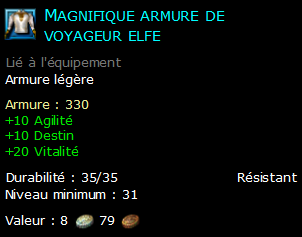 Magnifique armure de voyageur elfe