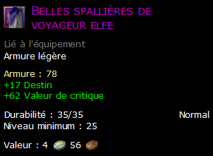 Belles spallières de voyageur elfe