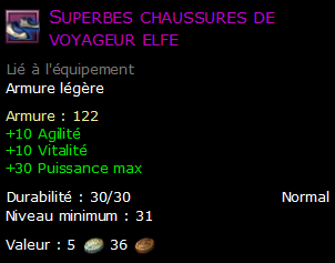 Superbes chaussures de voyageur elfe