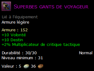 Superbes gants de voyageur