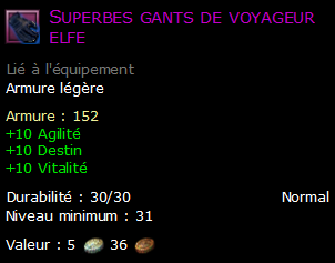 Superbes gants de voyageur elfe