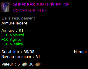 Superbes spallières de voyageur elfe