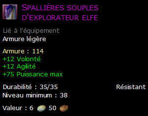 Spallières souples d'explorateur elfe