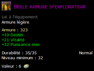 Belle armure d'explorateur