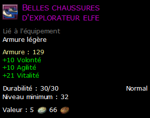 Belles chaussures d'explorateur elfe