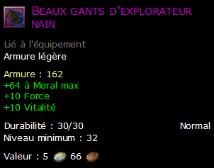 Beaux gants d'explorateur nain