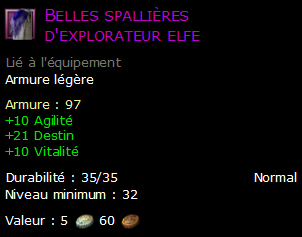 Belles spallières d'explorateur elfe