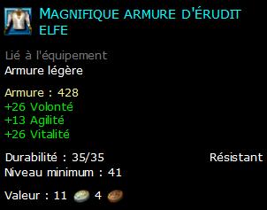 Magnifique armure d'érudit elfe