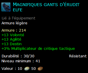 Magnifiques gants d'érudit elfe