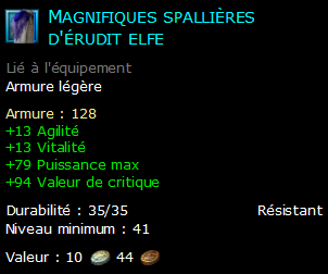 Magnifiques spallières d'érudit elfe