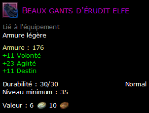 Beaux gants d'érudit elfe