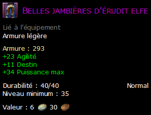 Belles jambières d'érudit elfe