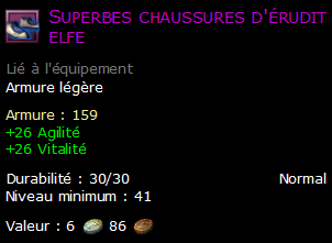 Superbes chaussures d'érudit elfe