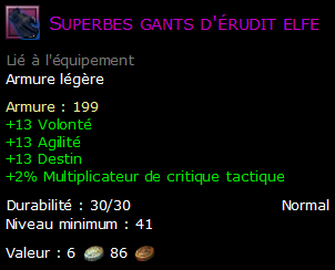 Superbes gants d'érudit elfe