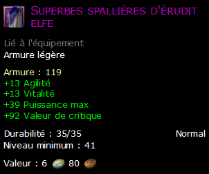 Superbes spallières d'érudit elfe