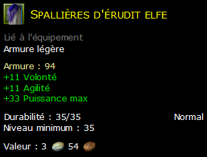 Spallières d'érudit elfe