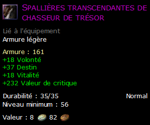 Spallières transcendantes de chasseur de trésor