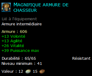 Magnifique armure de chasseur