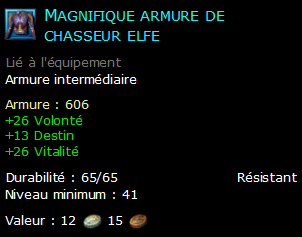 Magnifique armure de chasseur elfe