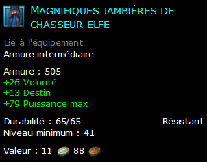 Magnifiques jambières de chasseur elfe