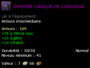 Superbe casque de chasseur