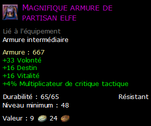 Magnifique armure de partisan elfe