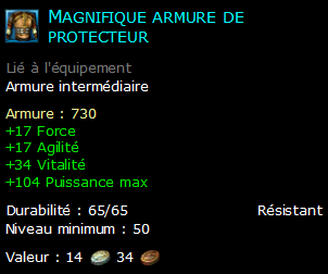 Magnifique armure de protecteur