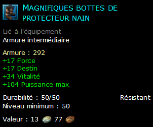 Magnifiques bottes de protecteur nain