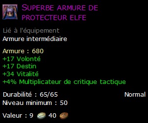 Superbe armure de protecteur elfe