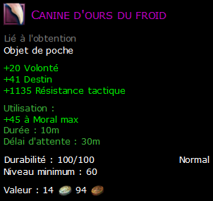 Canine d'ours du froid