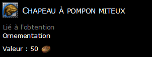 Chapeau à pompon miteux