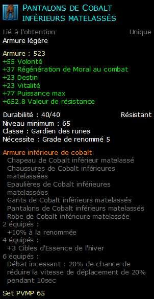 Pantalons de Cobalt inférieurs matelassés