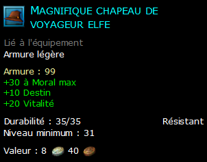 Magnifique chapeau de voyageur elfe