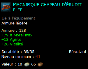 Magnifique chapeau d'érudit elfe