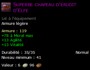 Superbe chapeau d'érudit d'Elfe