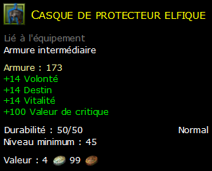 Casque de protecteur elfique