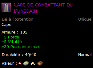 Cape de combattant du Dunedain