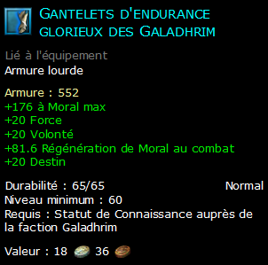 Gantelets d'endurance glorieux des Galadhrim