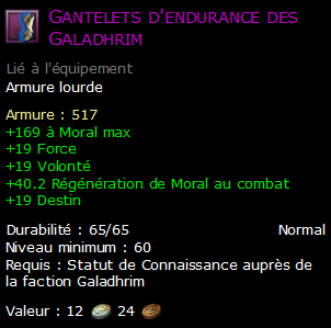 Gantelets d'endurance des Galadhrim