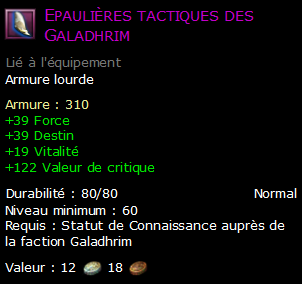 Epaulières tactiques des Galadhrim