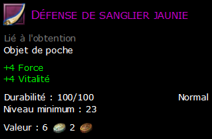 Défense de sanglier jaunie