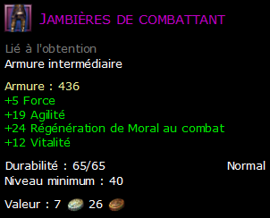 Jambières de combattant