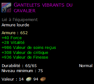 Gantelets vibrants du cavalier