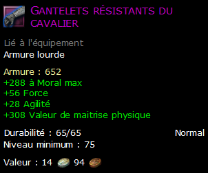 Gantelets résistants du cavalier