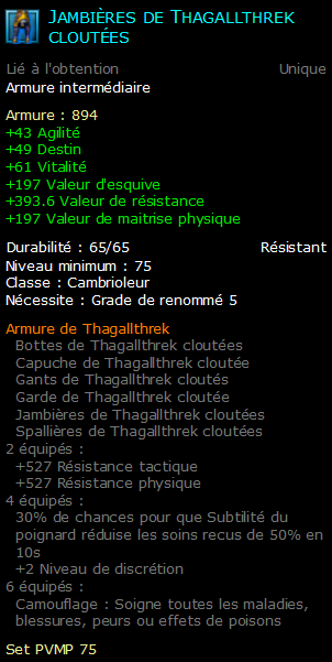 Jambières de Thagallthrek cloutées